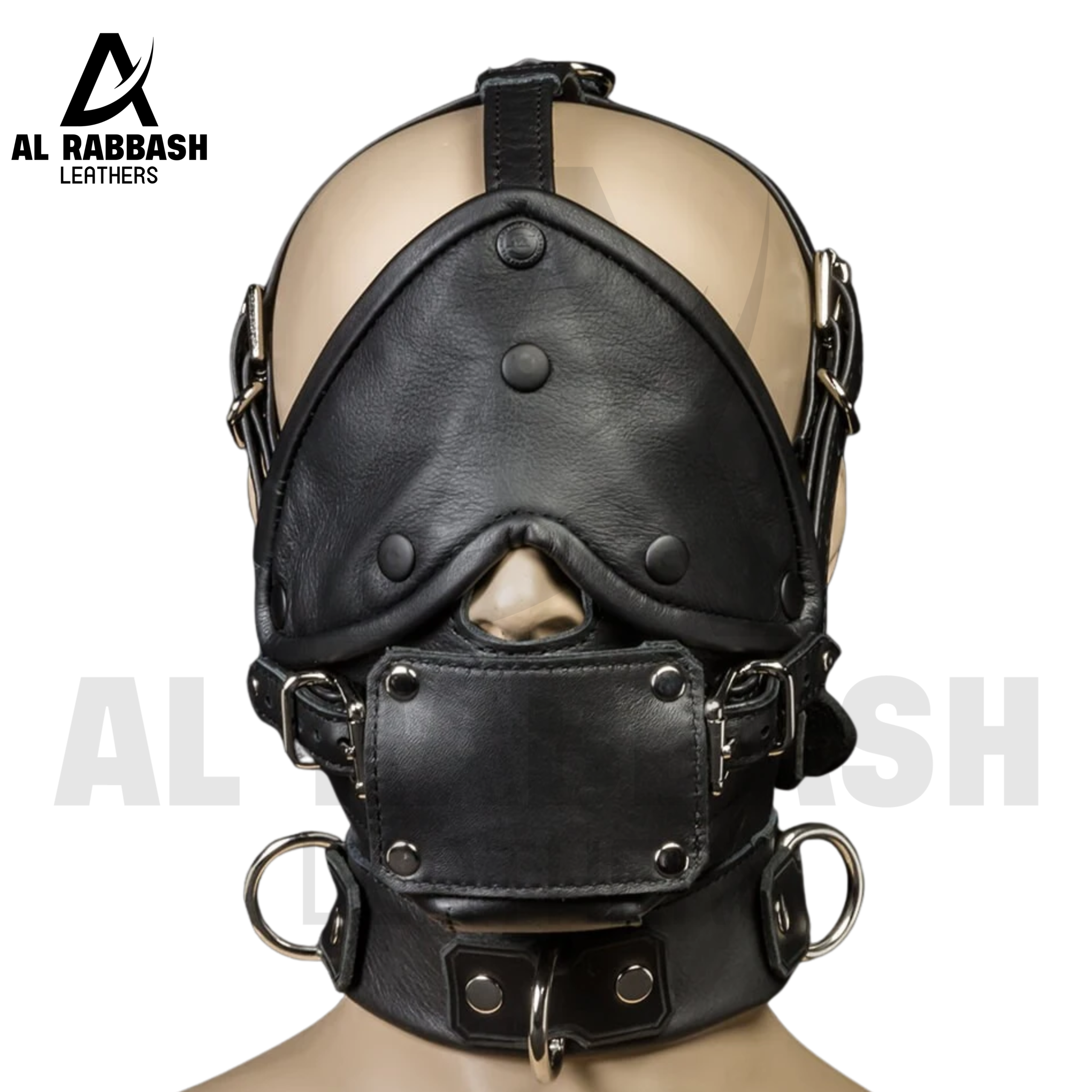 Bishop Leather Head Harness